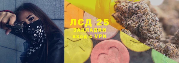 крисы Алзамай