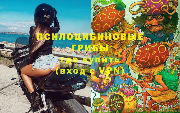 spice Алексин