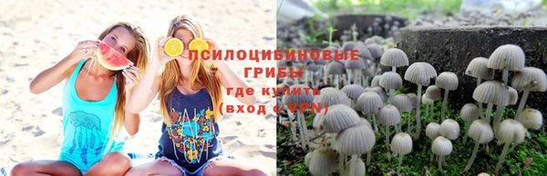 крисы Алзамай
